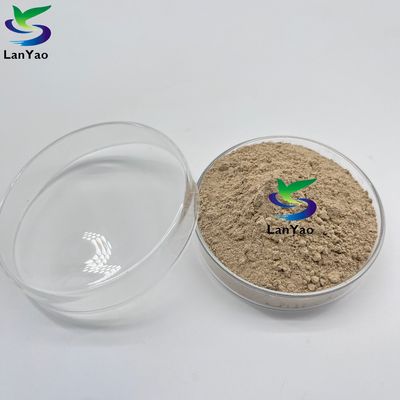 Bacteria aeróbica Anaeróbica Antibióticos Bacteria aeróbica Anaeróbica En el tratamiento de aguas residuales Cultivo bacteriano