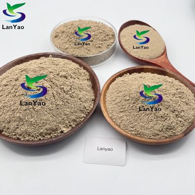Tratamiento biológico de aguas residuales Bacteria / Enzima / Lodo activo Bacteria aeróbica en el tratamiento de aguas residuales