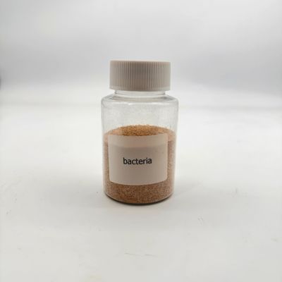 Vida útil de 2 años Tratamiento de agua Bio bacterias No tóxicas Amistosas con el medio ambiente con certificación ISO 14001