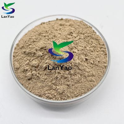 Biobácterías que nitrifican las bacterias Tratamiento eficaz de las aguas residuales