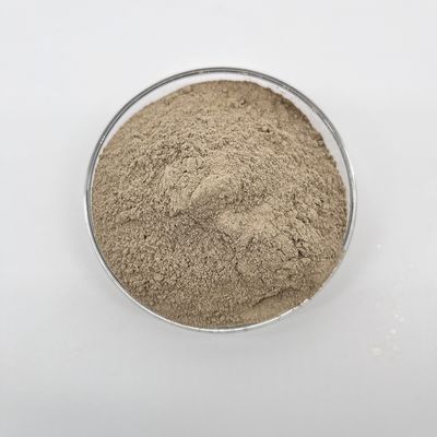 Microorganismos orgánicos de limpieza de agua certificados ISO 9001 para una limpieza eficaz y un almacenamiento adecuado