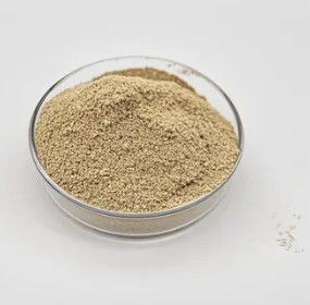 Tratamiento de agua Bio Bacteria Polvo Performance confiable de larga duración