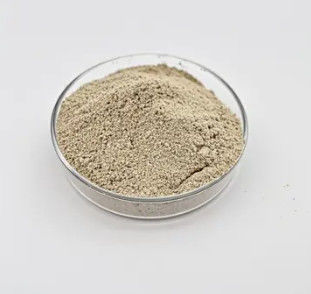 Tratamiento de agua Bio Bacteria Polvo Performance confiable de larga duración