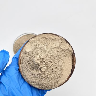 Innovador y probado en forma de polvo Tratamiento de aguas residuales Bacteria para biobacterias