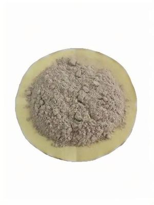 Bacteria microbiana avanzada para el tratamiento de aguas residuales
